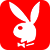 Салон эротического массажа Red rabbit